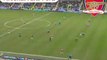 Robin van Persie - Newcastle vs Arsenal - 4to gol