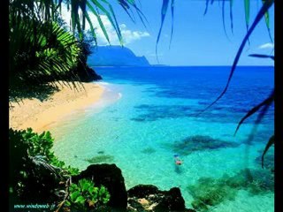 Savio De Martino - (Fortunata Estate) - SEMPLICI NOTE