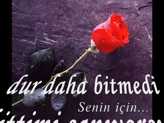 ibrahim erkal süper slaytt