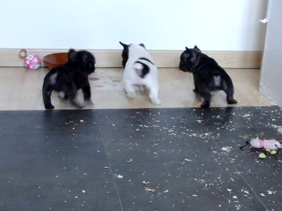 5 semaines (Glamour au début)