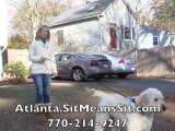 Atlanta Dog Obedience Training - Sit Means Sit - Murphy