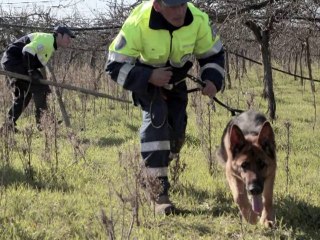 Le Journal vidéo du dimanche 6 février 2011, édition de 18H00