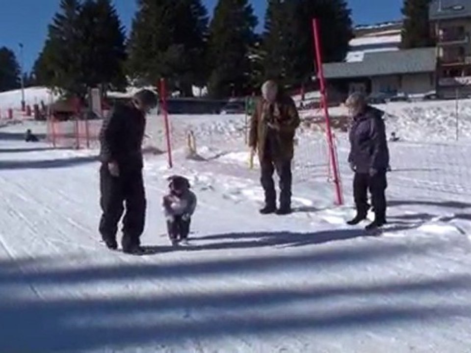 Petite louise skie toute seule