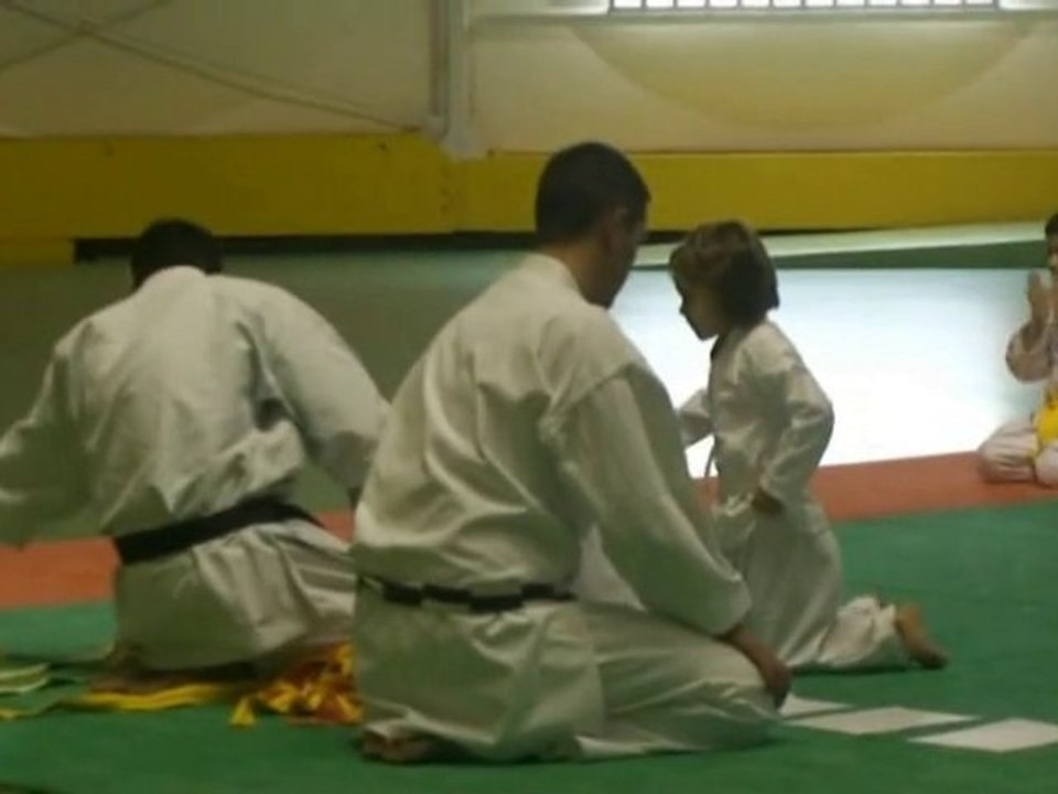 remise ceinture jaune camille hd avi