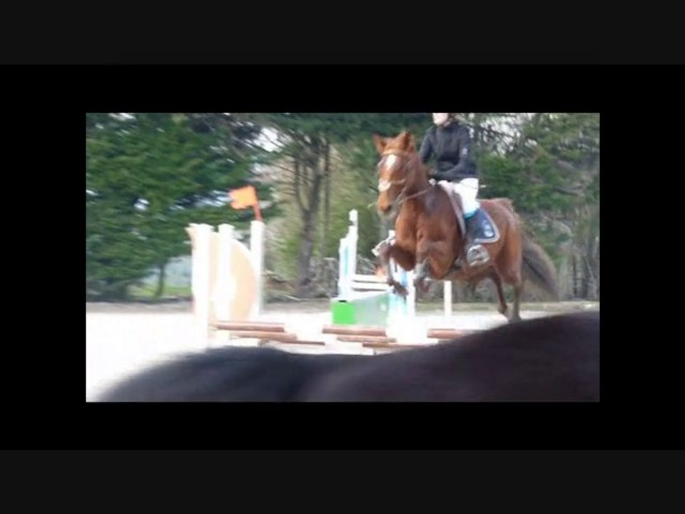 Pensée Du Vinnebus Club2 Corné