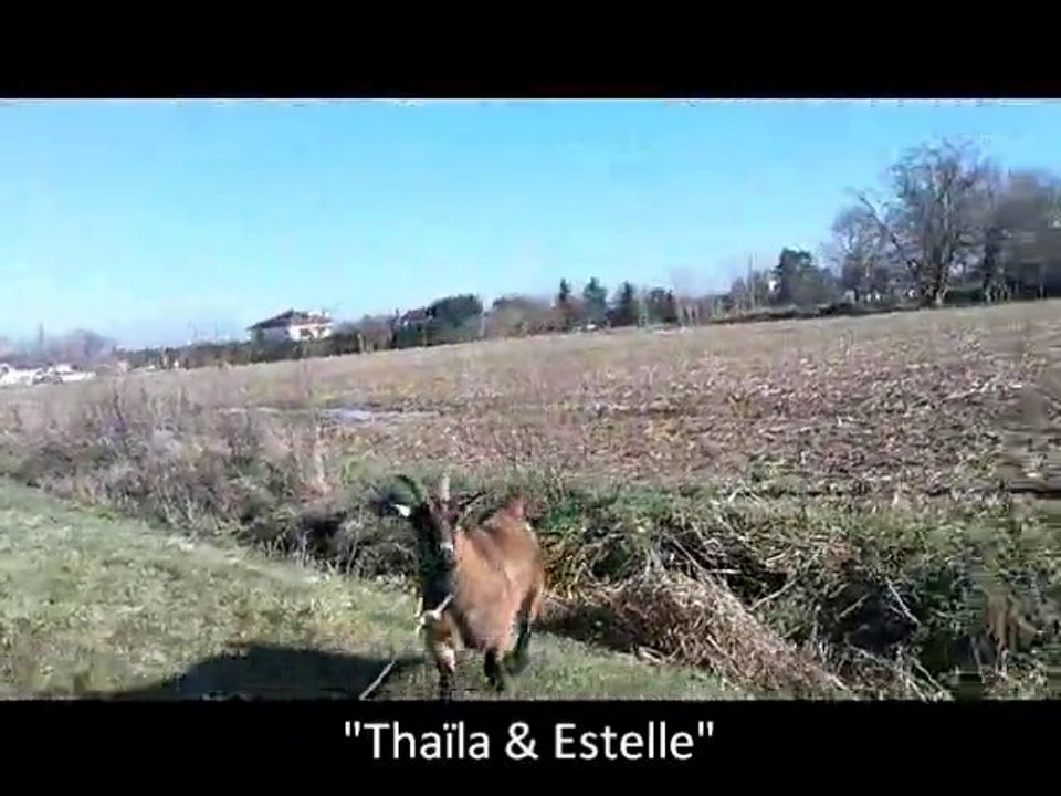 Thaïla & moi