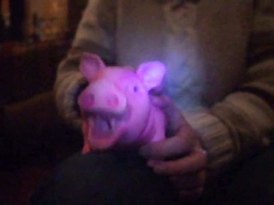 A la découverte d'1 Cochon !!