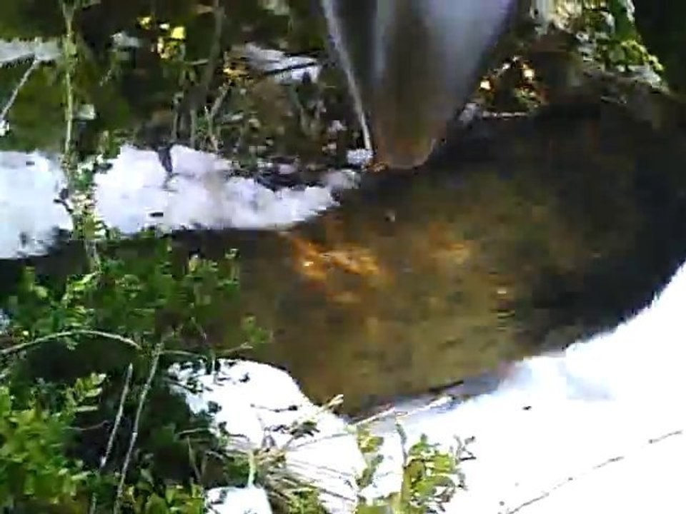 battue au sanglier (Cévennes)