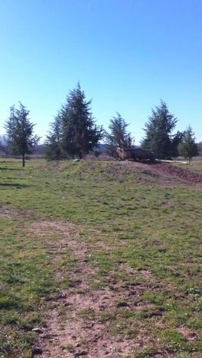 Tif & Port , Valy & Noisette entrainement cross Le pouget