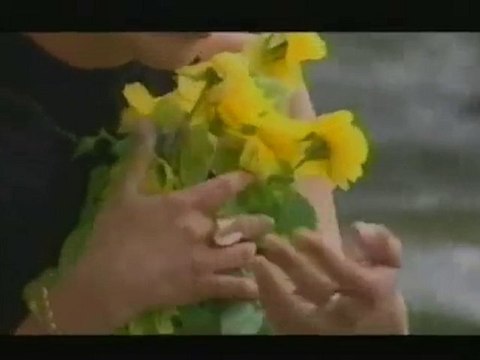 Toni Dacheva - Gubq te