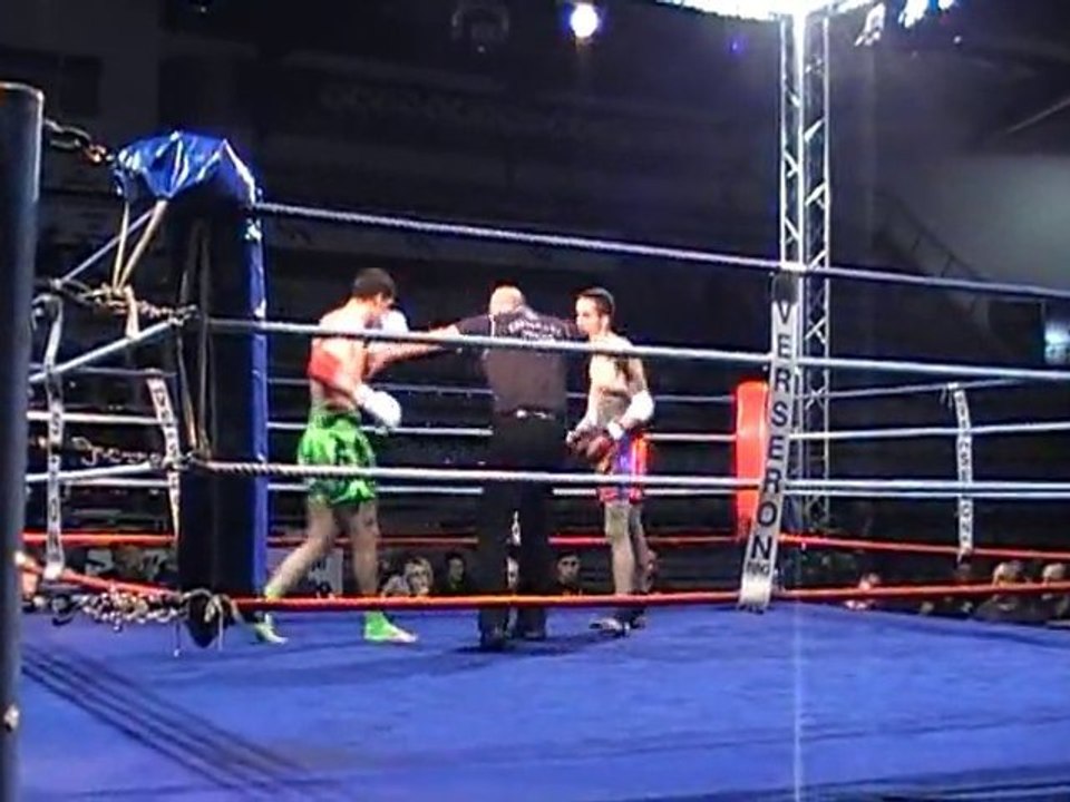 Yaz - Joann rnd1 Lion Belt a belfort