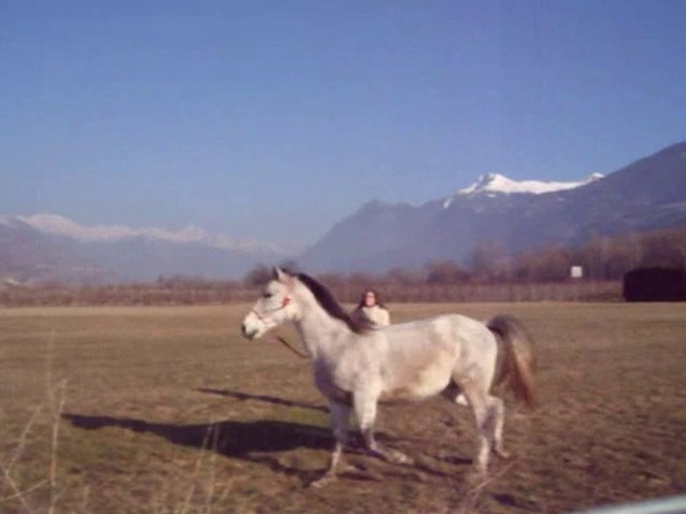 Hidalgo pré