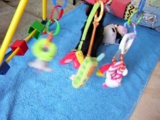 bébé joue avec le portique