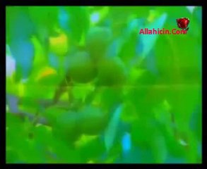 Mehmet Emin Ay - Sol Cennetin Irmakları