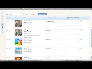 NextGen Photo Gallery Lesson (2/3) Search Engine ...