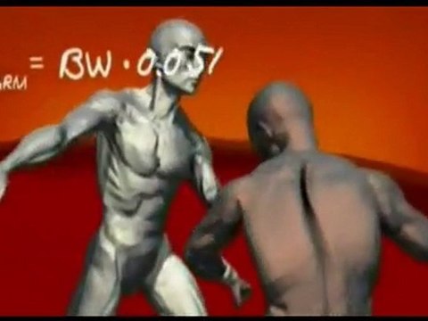 techniques de combat de plusieurs styles d'arts martiaux