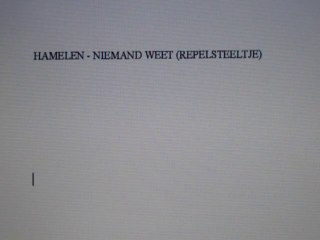 Hamelen - Niemand Weet (Repelsteeltje)