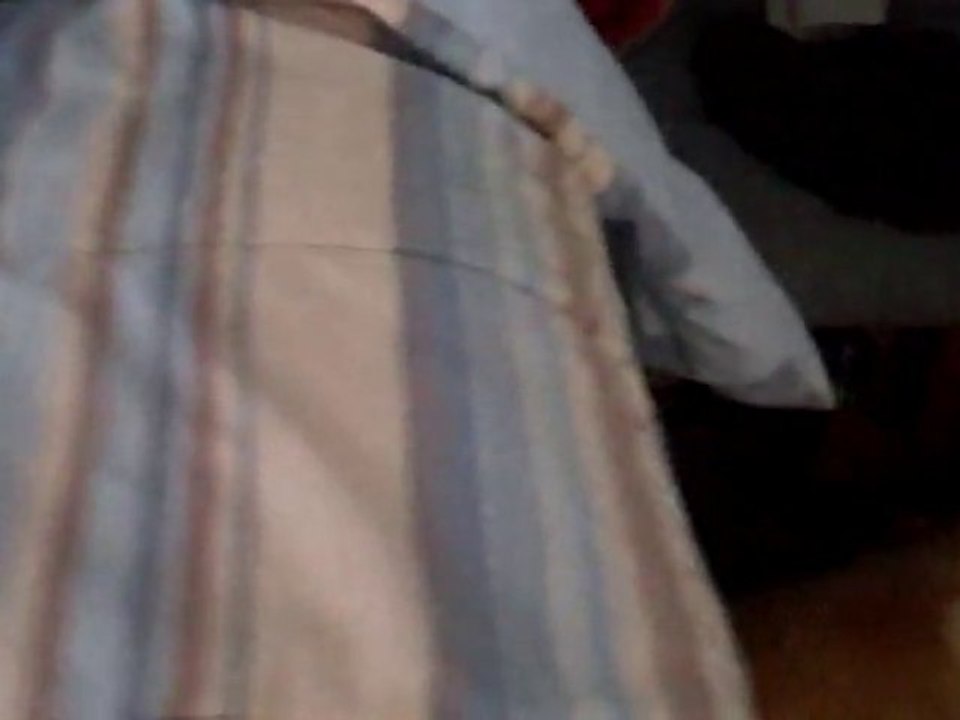 All the animals are napping