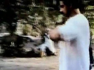 Yeh Saali Zindagi - PDVDRip - XviD - 1CDRip - 1