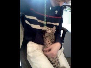 yzatis c'est moi