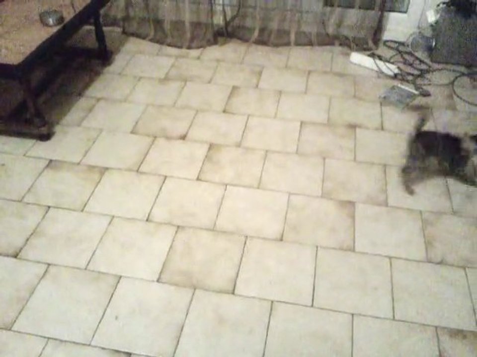MOV004
