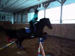 Cours de saut - ecurie Marjani