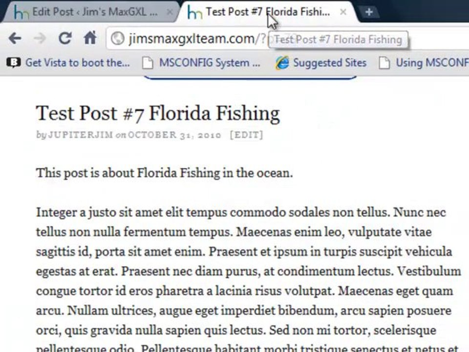 "Categories" & "Tags" in WordPress 3.0.1 or later