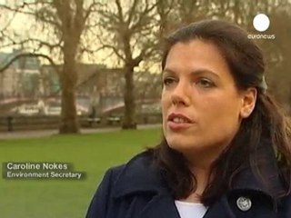 Londra vuole svendere le foreste. E' polemica
