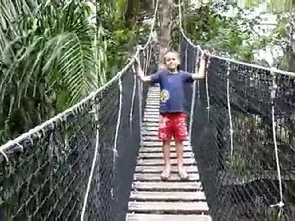 Dans les arbres à 20m de haut