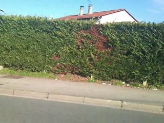 ghost rider essai de lever une z750 a voir