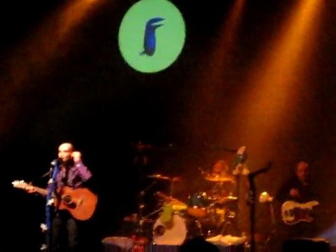 4 - Les oiseaux dans les grands magasins