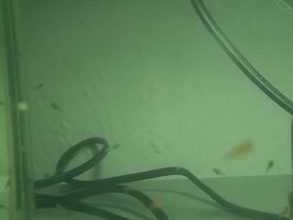 20110124183100