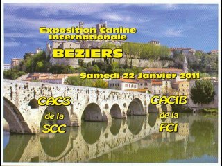 Exposition Canine Internationale BEZIERS 2011