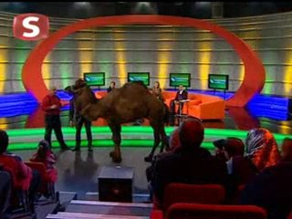 Varlık Harikaları'nda Stüdyoya Deve Girdi