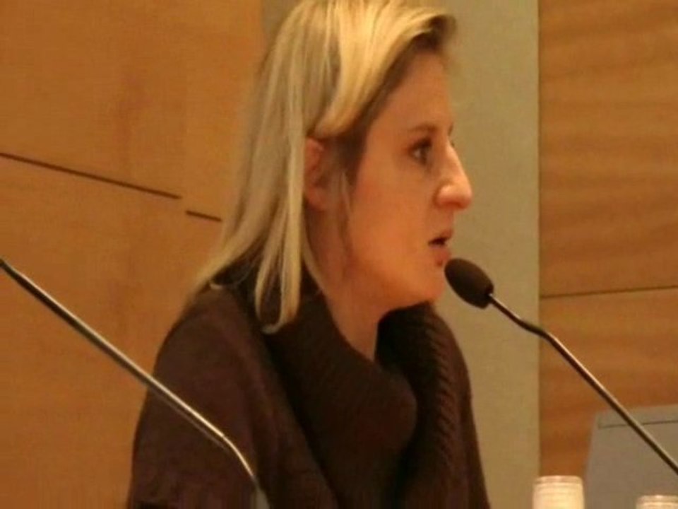 Rapport de Valérie Rosso-Debord : les constats