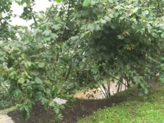 köyümün yağmurları..