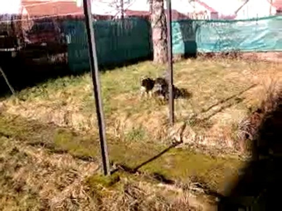 Vidéo0014