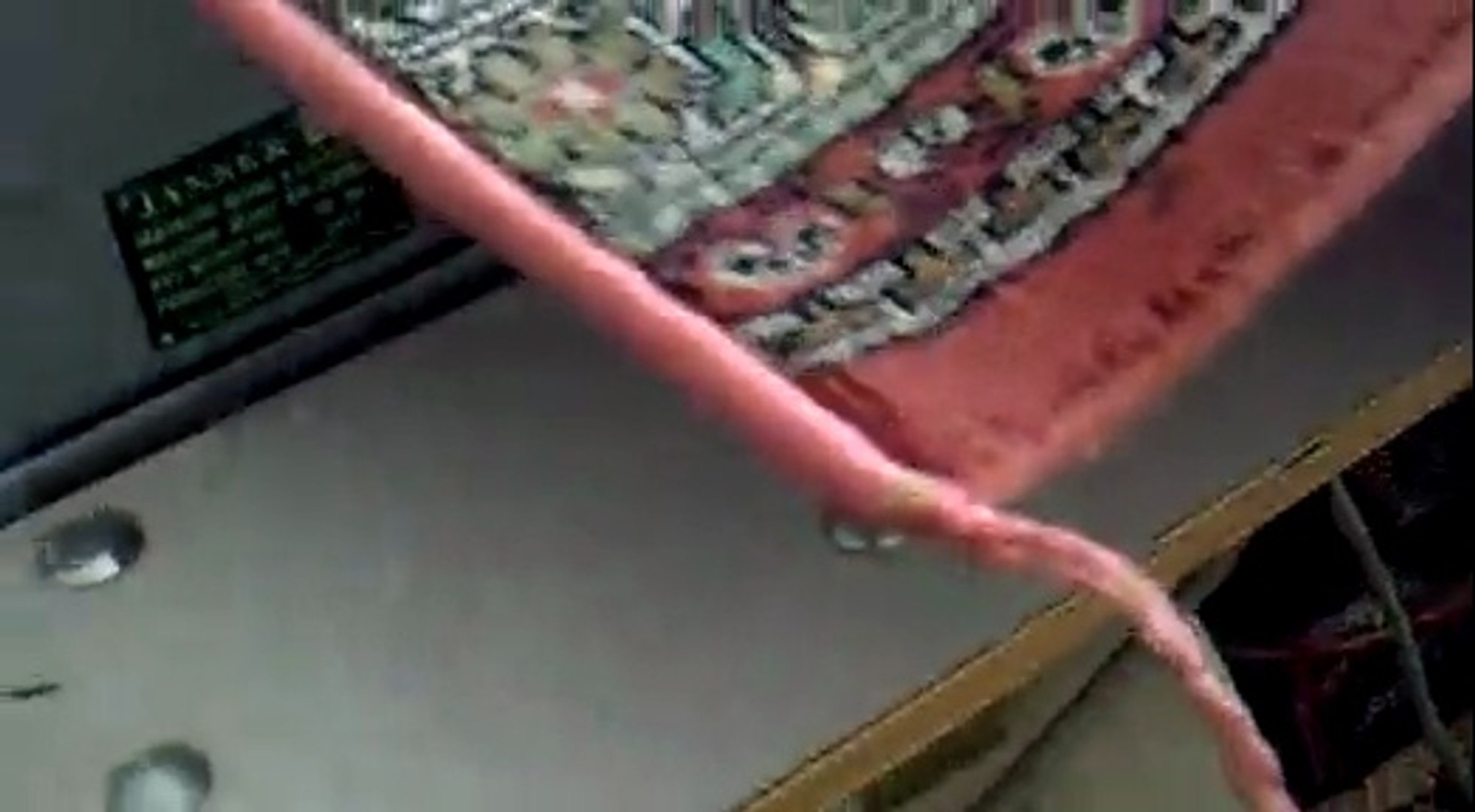 tek bahar hali yikama 0312 276 90 90 ankara dailymotion video