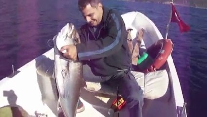 BALIK AVI ADRASAN - www.adrasanbalik.com