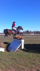 Porcinet & Tif obstacle de volée Le pouget 2011