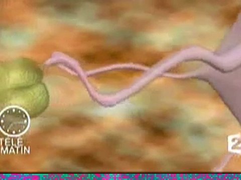 reportage art thérapie