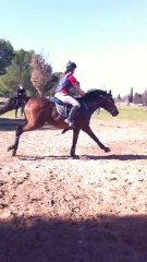 Port & Tif Combi du Gué Le pouget 2011