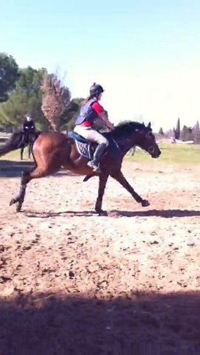 Port & Tif Combi du Gué Le pouget 2011