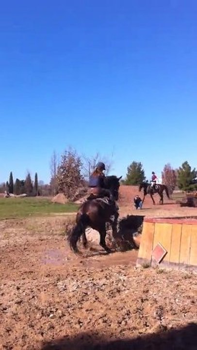 Quolibet & Moi Combi du Gué Le pouget 2011