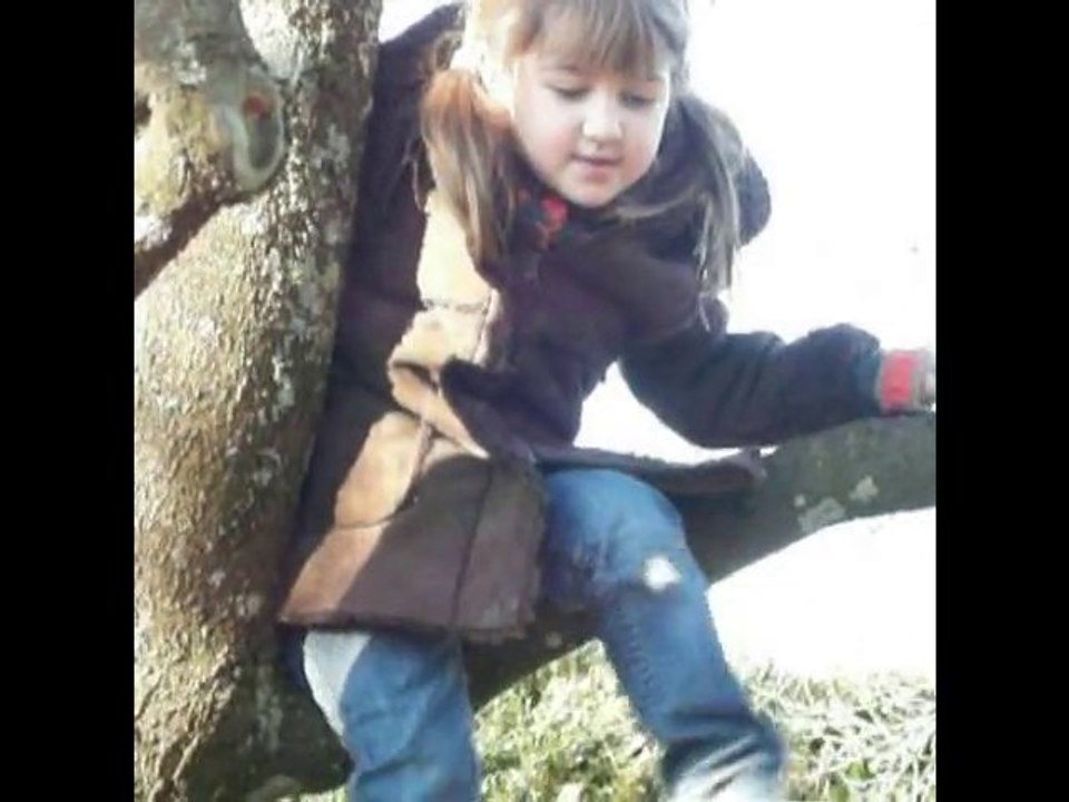 Je grimpe aux arbres !