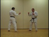 Learn Karate Online Kizami Mawashi Geri