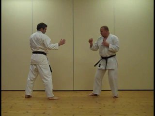 Learn Karate Online Kizami Mawashi Geri