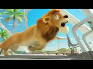 Animaux et cie - Bande annonce