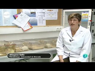 Sobreestimulacion precoz y aprendizaje: Milagros Gallo (UGR)