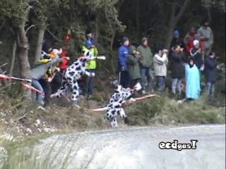 Promo dvd best of 2010 rallyes ecdgas!5